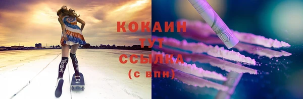 спайс Аркадак